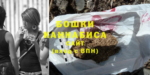 PSILOCYBIN Аркадак