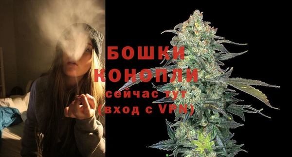 PSILOCYBIN Аркадак