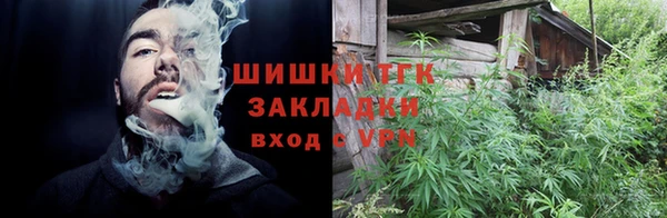 PSILOCYBIN Аркадак