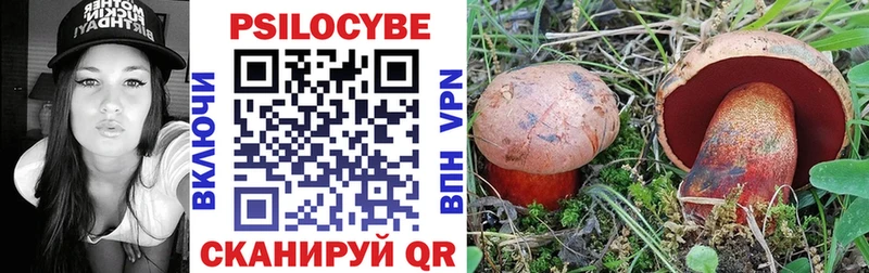 OMG tor  Ахтубинск  Галлюциногенные грибы GOLDEN TEACHER 